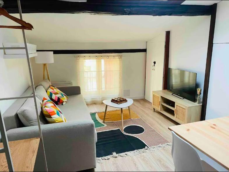 Le Grand Studio Castres  Dış mekan fotoğraf